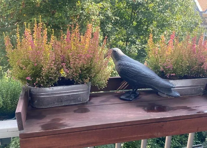 Spacious With Private King Bathroom