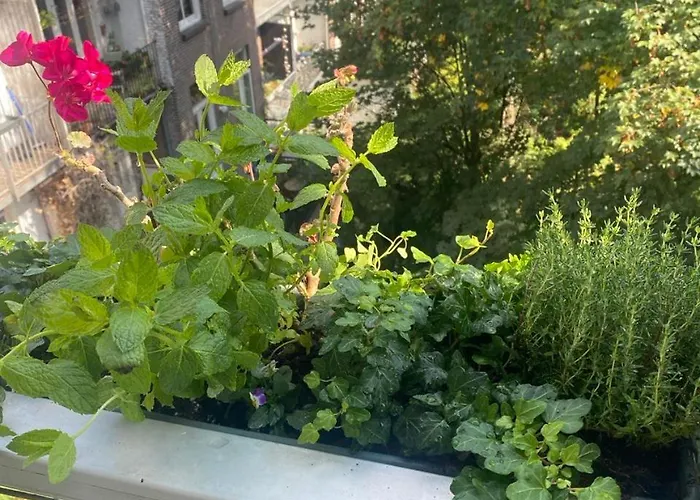 Spacious With Private King Bathroom Amsterdam