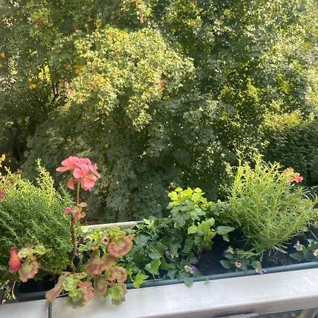 Spacious With Private King Bathroom