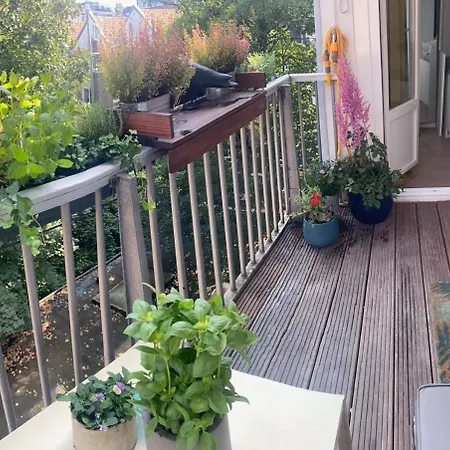 Spacious With Private King Bathroom Konukevi 3*