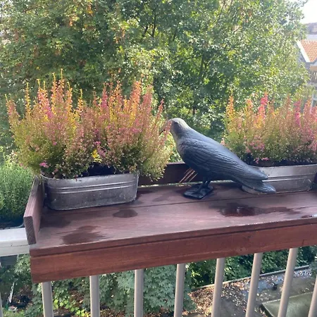 Spacious With Private King Bathroom