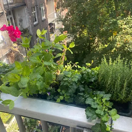 Spacious With Private King Bathroom アムステルダム